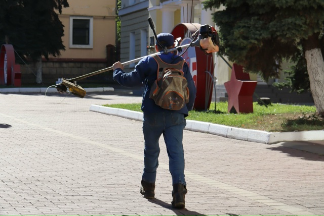 Свыше 87 тысяч квадратных метров травы выкосили дорожники в Брянске за день