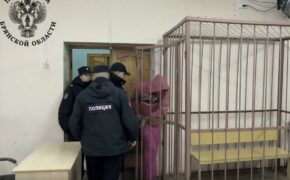 Обвиняемых в убийстве знакомой супругов брянский суд отправил в СИЗО
