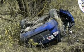 Водитель погиб в ДТП на трассе в Трубчевском районе во вторник