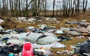 Суд обязал брянских чиновников убрать свалку у озера Керамзитное