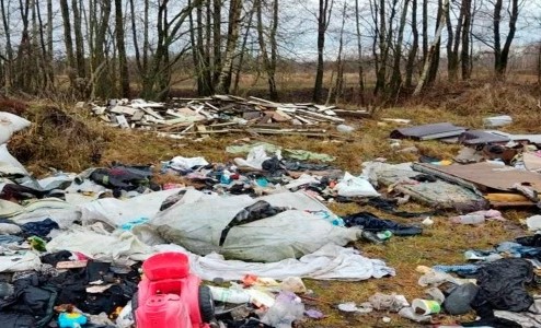 Суд обязал брянских чиновников убрать свалку у озера Керамзитное