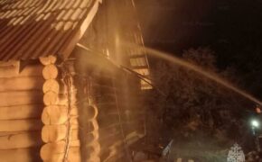 Жилой дом в Выгоничах потушили спасатели ночью