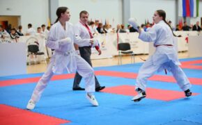 Девять медалей привезли брянские каратисты с Кубка Евразии