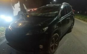 Две машины и трактор попали в ДТП на трассе в Почепском районе накануне