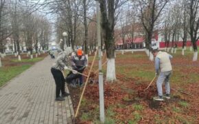 Свыше 120 сотрудников администраций присоединились к уборке Брянска