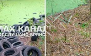 Свалку шин в лесу в Брянском районе убрали после вмешательства прокуратуры