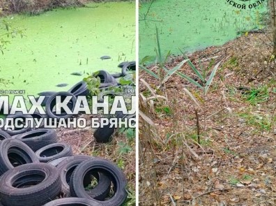 Свалку шин в лесу в Брянском районе убрали после вмешательства прокуратуры