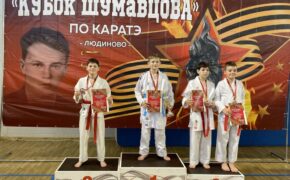 Юные каратисты из Брянска привезли девять наград из Людиново