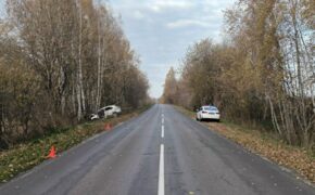 Пассажир иномарки умер от полученных травм в ДТП в Стародубском районе