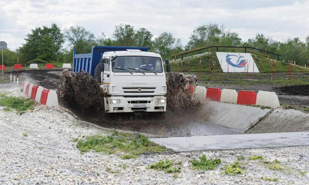 Движущая сила дружбы